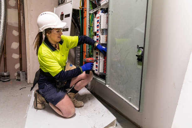 Best Electric Panel Repair  in Albany, MN