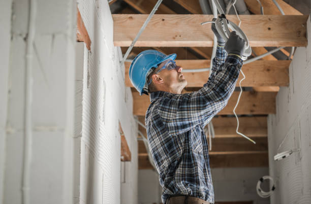 Best Local Electrician Companies  in Albany, MN