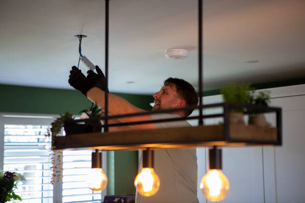 Best Electrician for Home Renovation  in Albany, MN