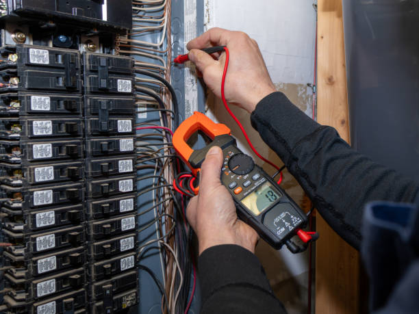 Best Electrical Troubleshooting Services  in Albany, MN