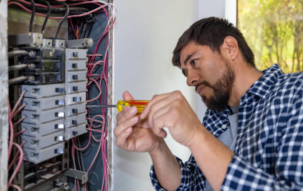 Best Local Electrician Companies  in Albany, MN